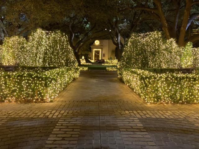 Christmas Lighting Service 1