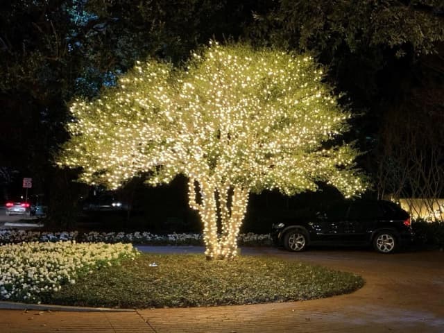 Christmas Lighting Service 6